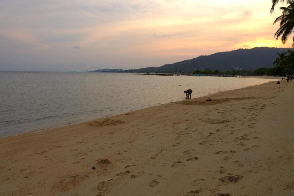 Rose Garden Samui Bungalows Lamai Beach  Esterno foto