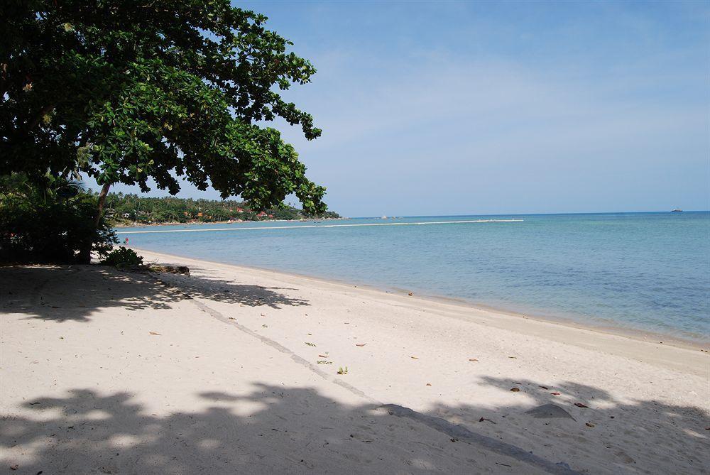 Rose Garden Samui Bungalows Lamai Beach  Esterno foto